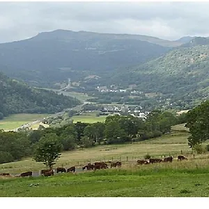 Appartement Au Pied Des Monts Du Cantal, Laveissière